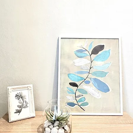 First Floor With Balcony Center Appartamento Narva