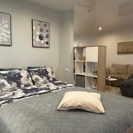 Apartament First Floor With Balcony Center Narwa