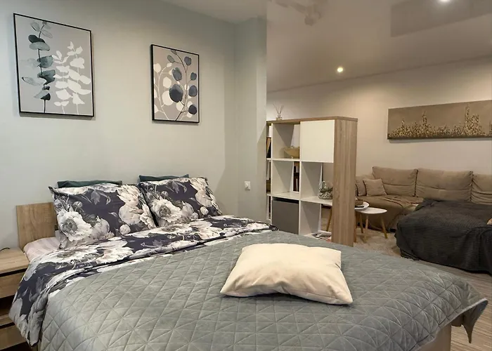 Apartment First Floor With Balcony Center Narva